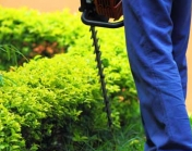 Ground Maintenance