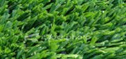 Artificial Grass Artificial Grass